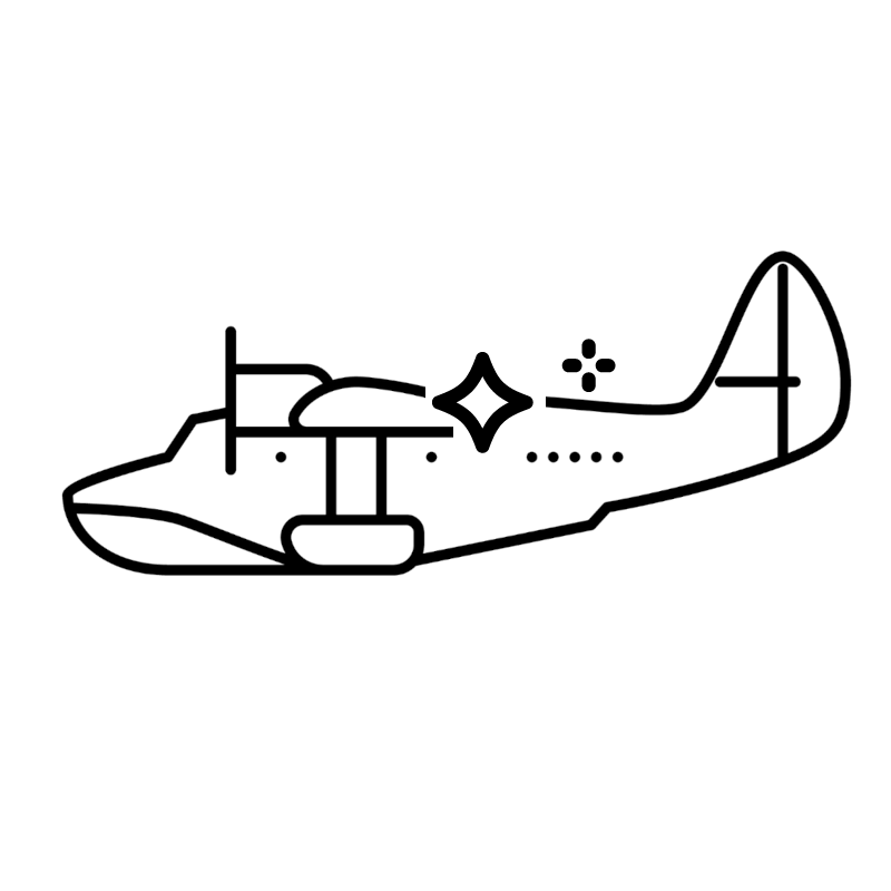 Airplane Detailing