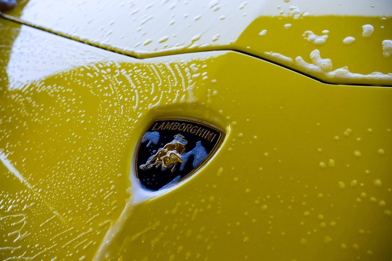 Exotic Detailing