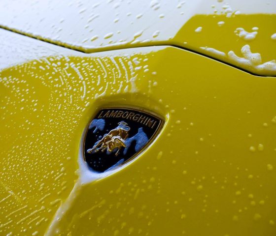 Exotic Detailing