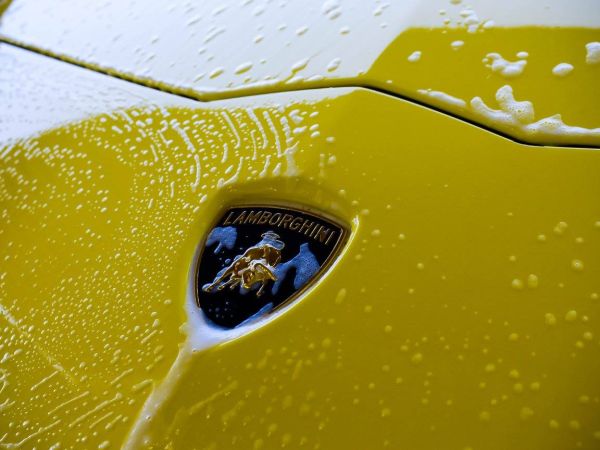 Exotic Detailing